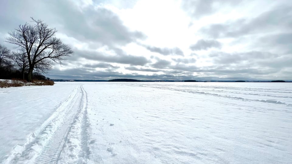 Rice Lake transformed into a white winter landscape