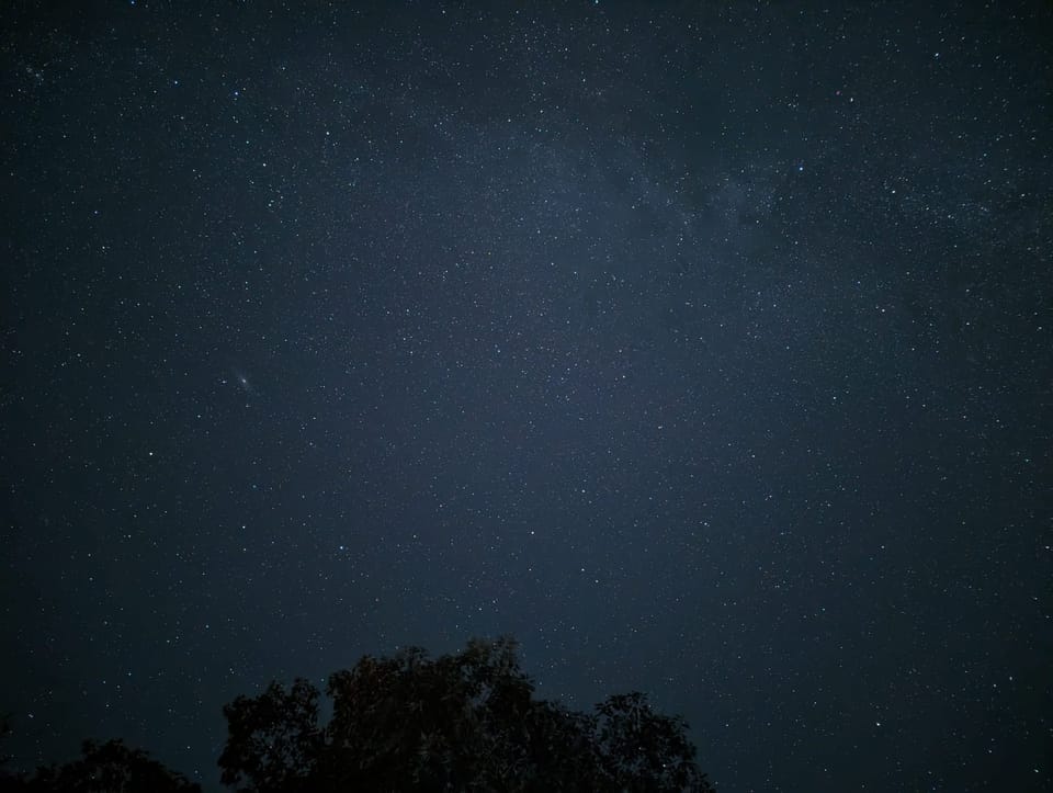 Stars over the treeline behind the cottage